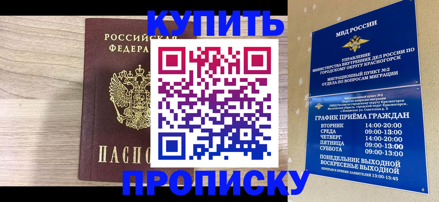 прописка 2025 в Коврове